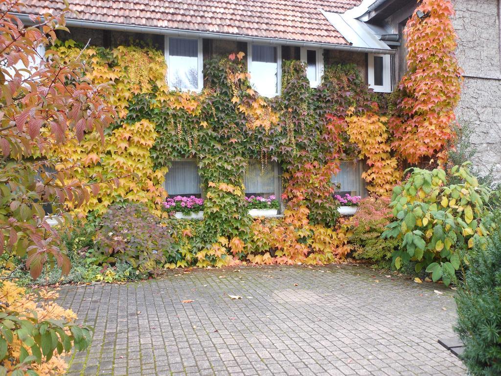 Westfalenhof Garni Willingen  Exterior foto